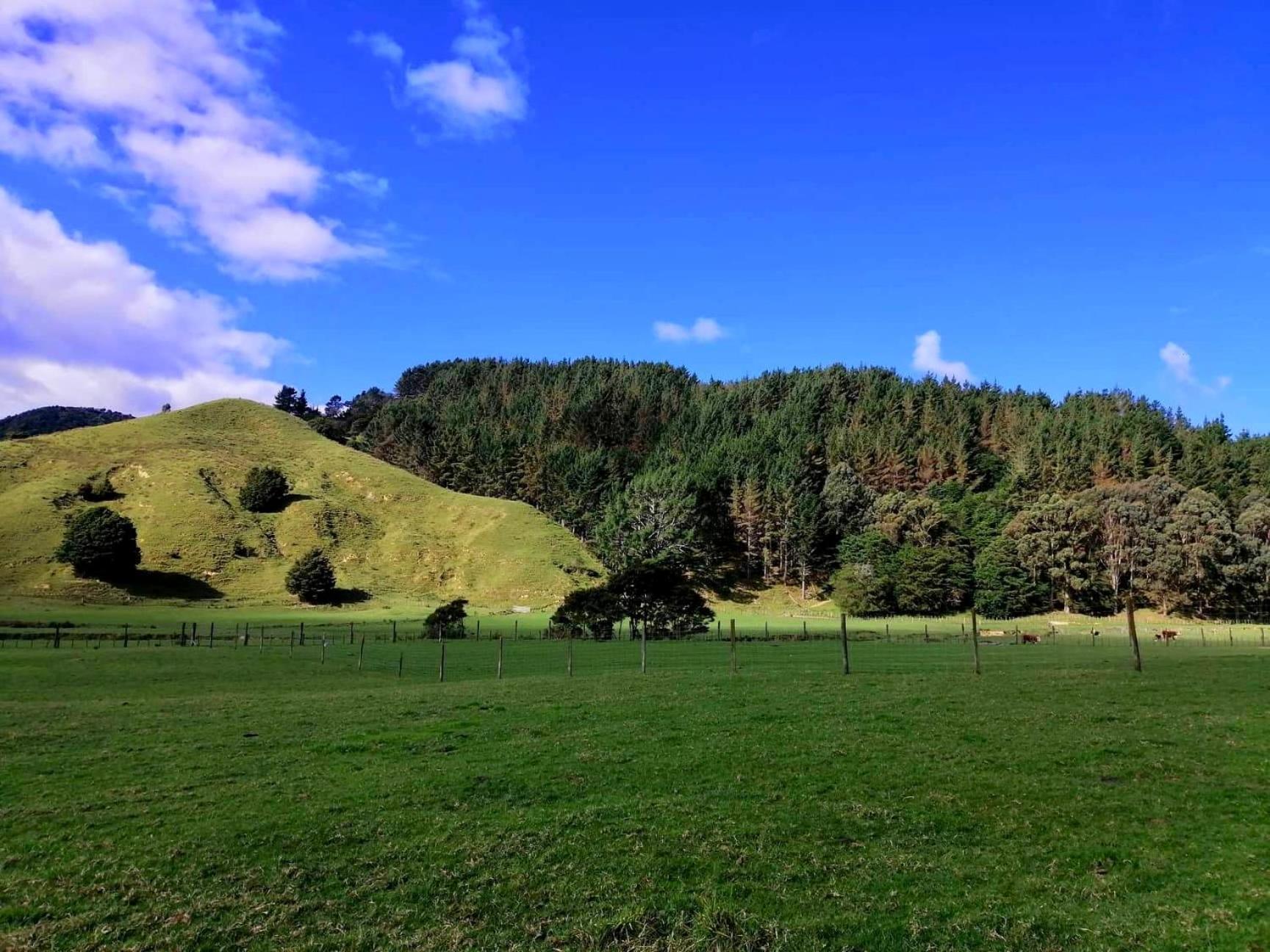White Star Station Farm Holiday Park Coromandel Eksteriør bilde